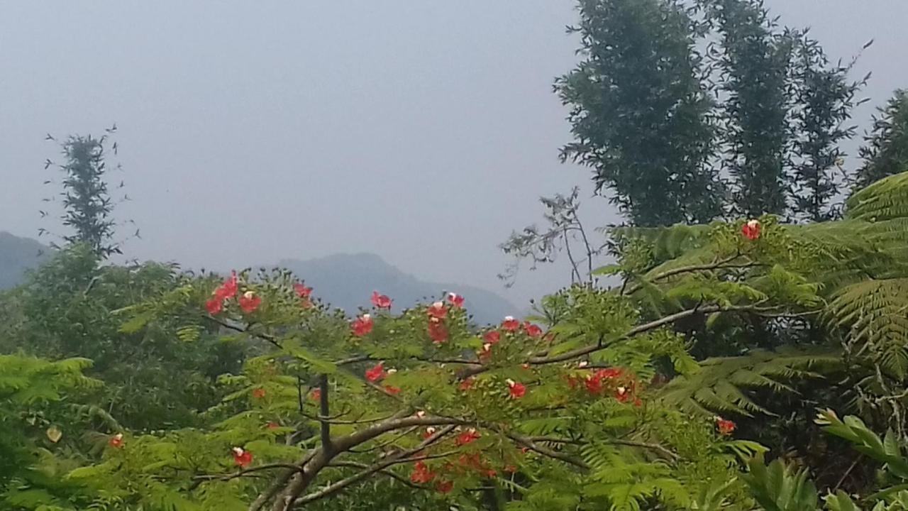 Hospedaje Totalmanik คูเอตซาลันเดลโปรเกรโซ ภายนอก รูปภาพ